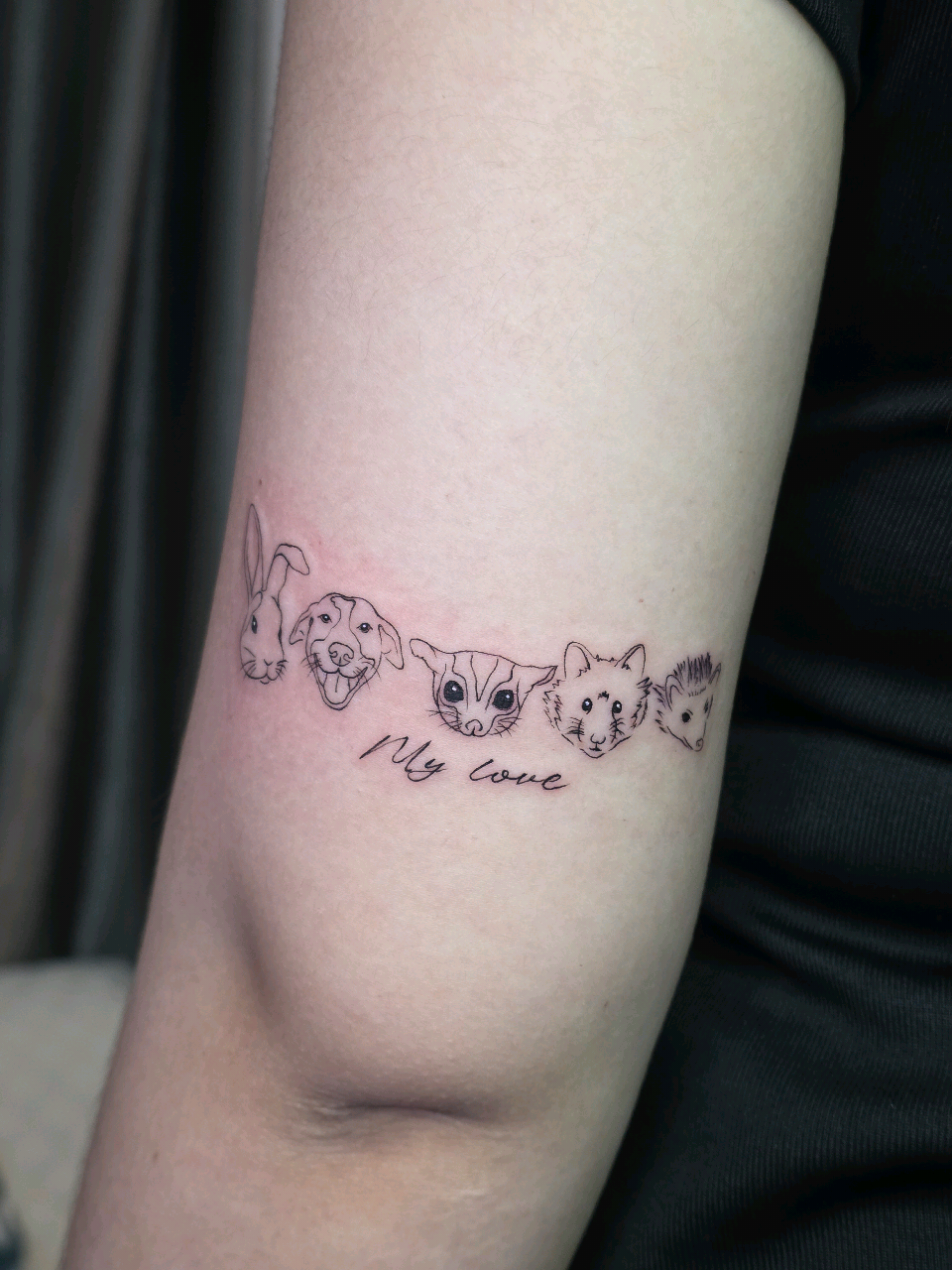 @IQ TATTOO