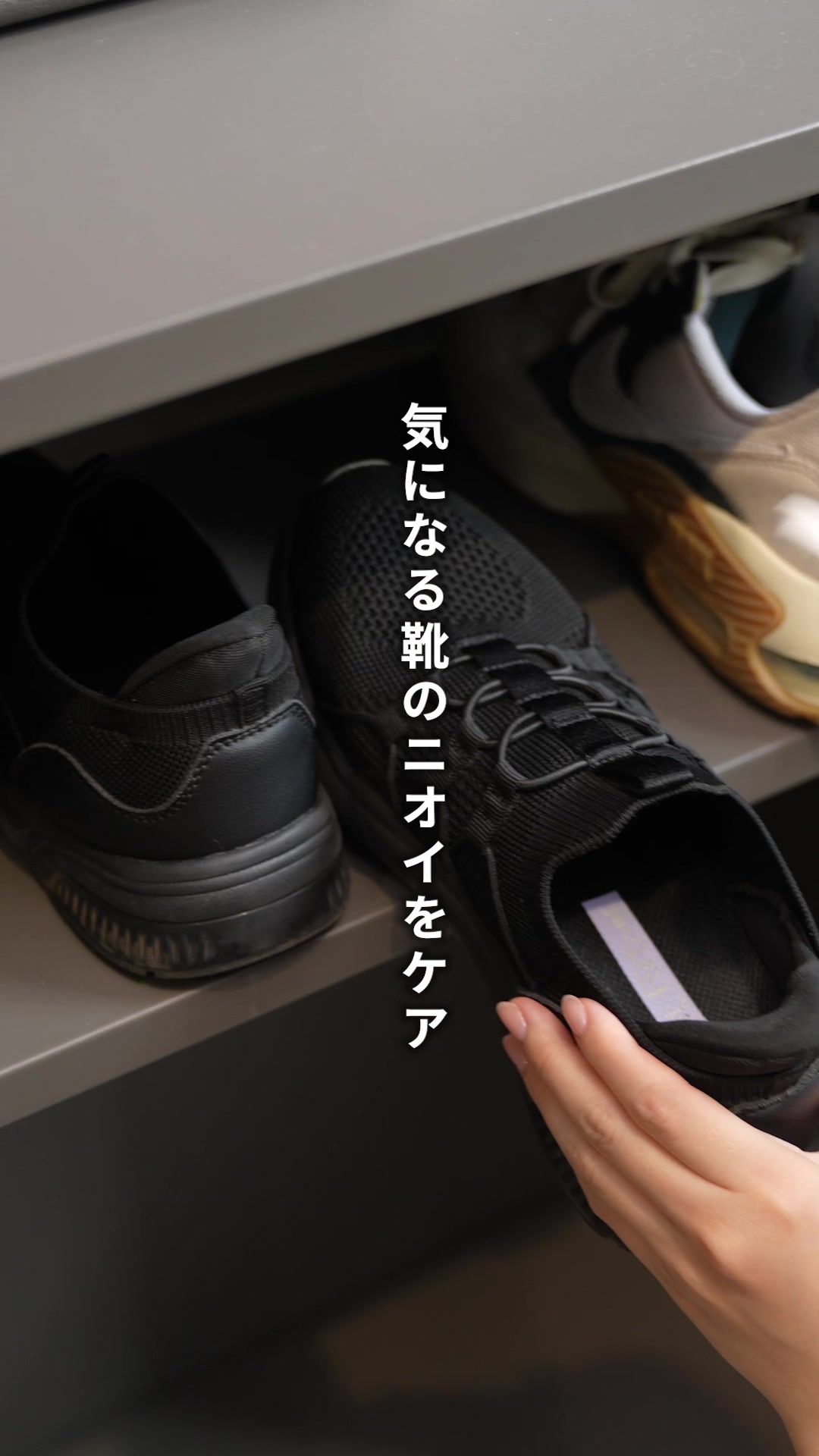 @生活の木【公式】