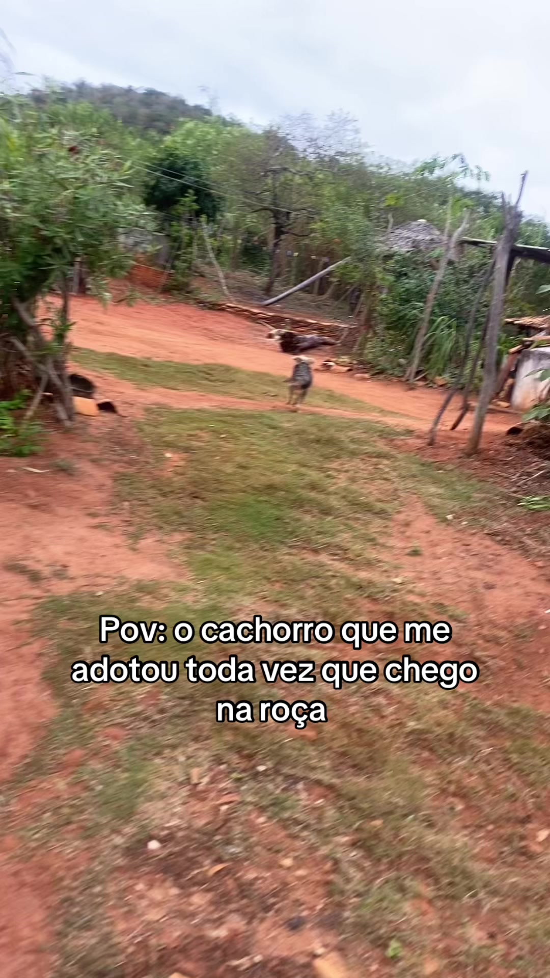 @Graziele Chaves