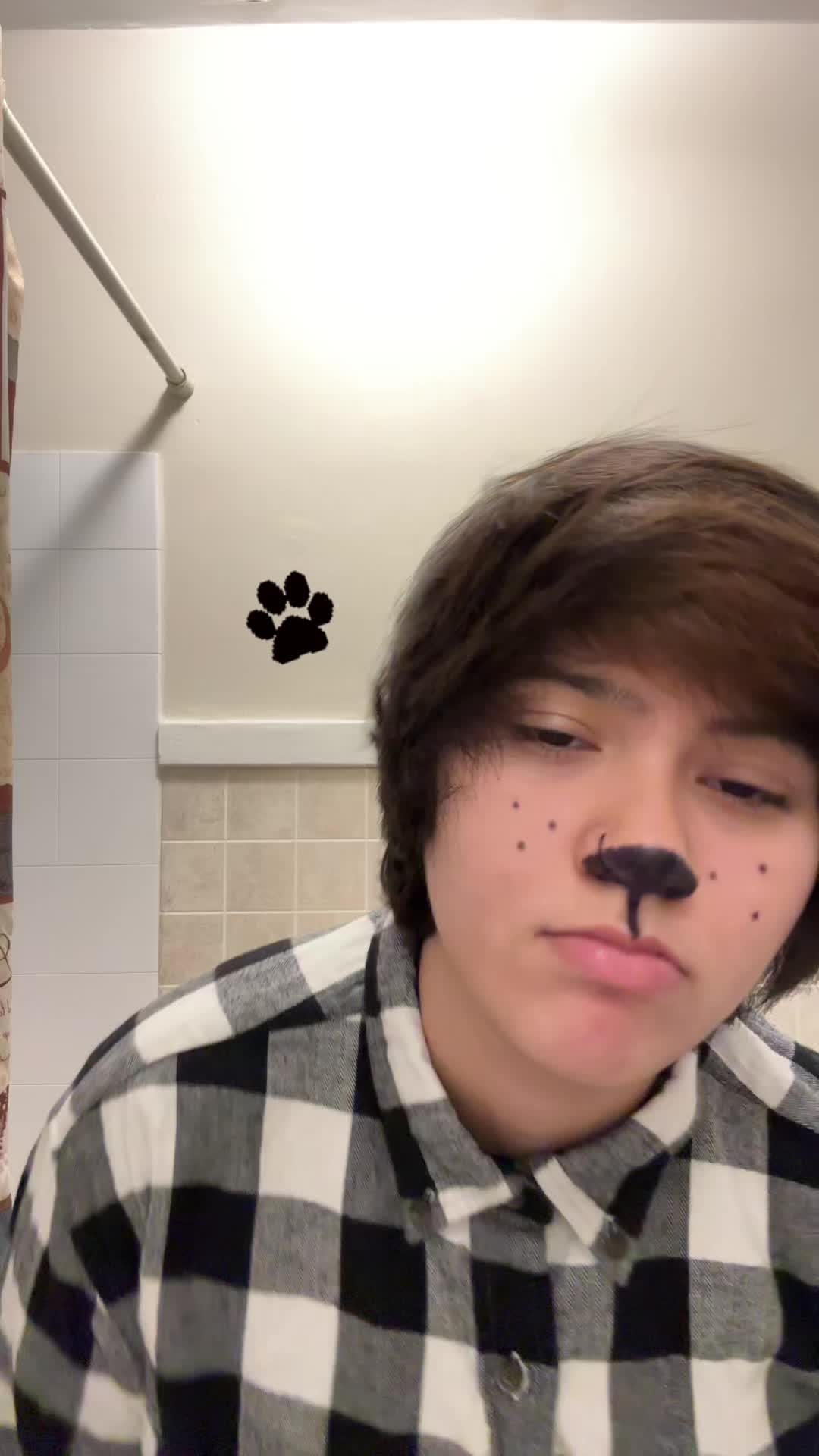 @adam 🐾