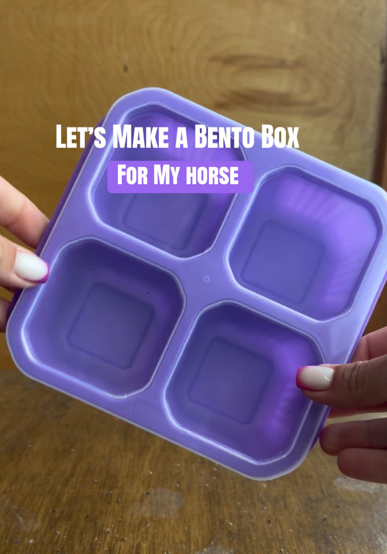 @Equestrian |🦄 Mom