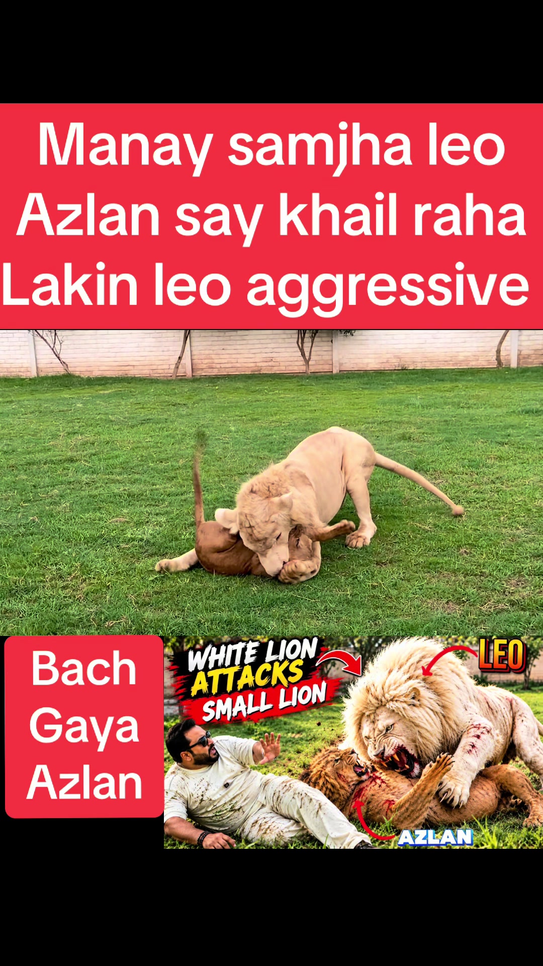 @Mian saqib
