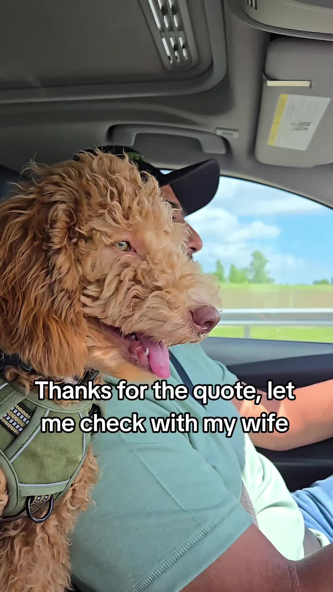 @Quick Junk Removal