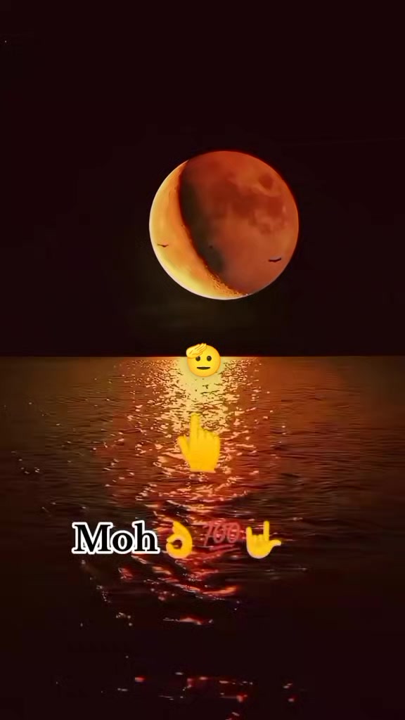 @Moh Mohamed753