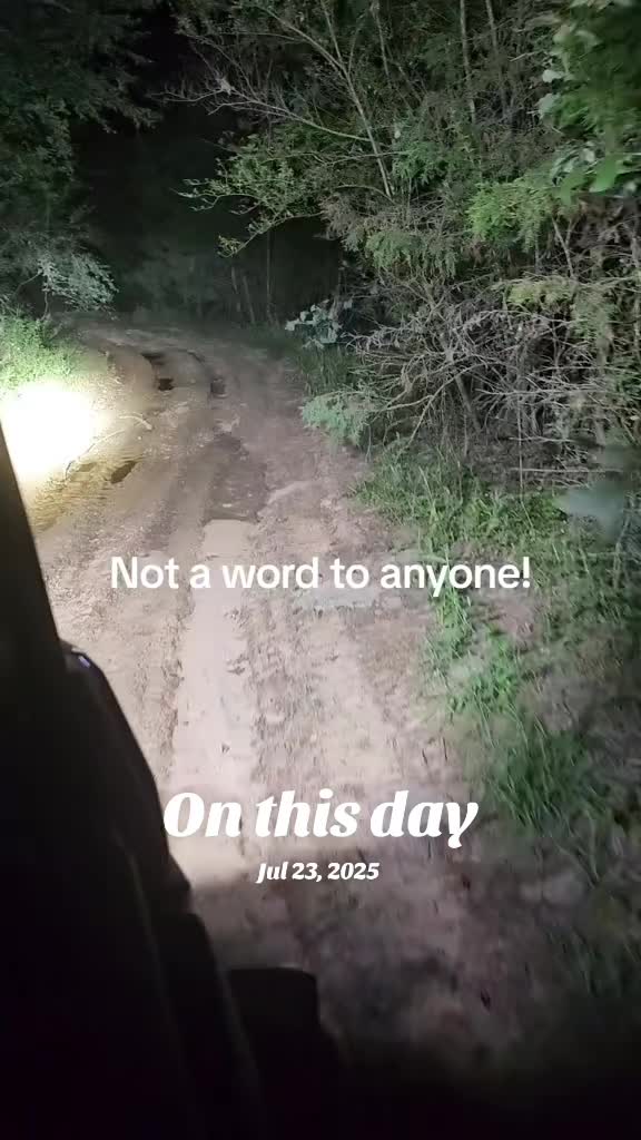 @Mudbandage