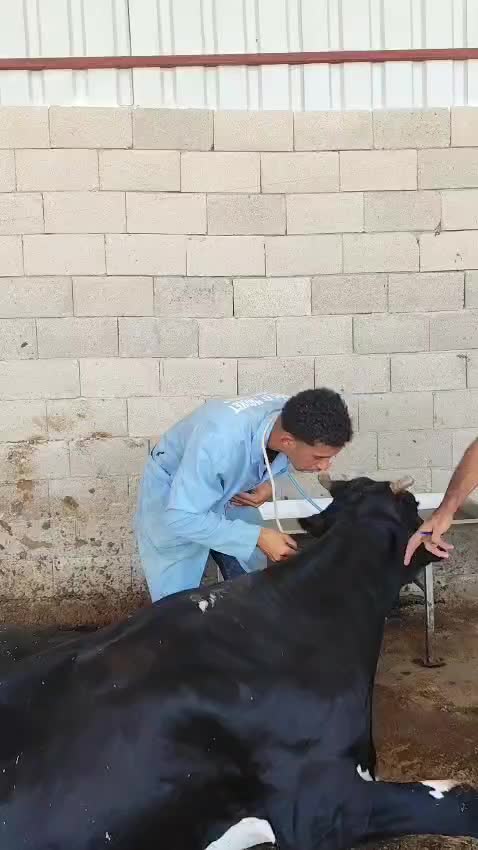 @ŞİRKET