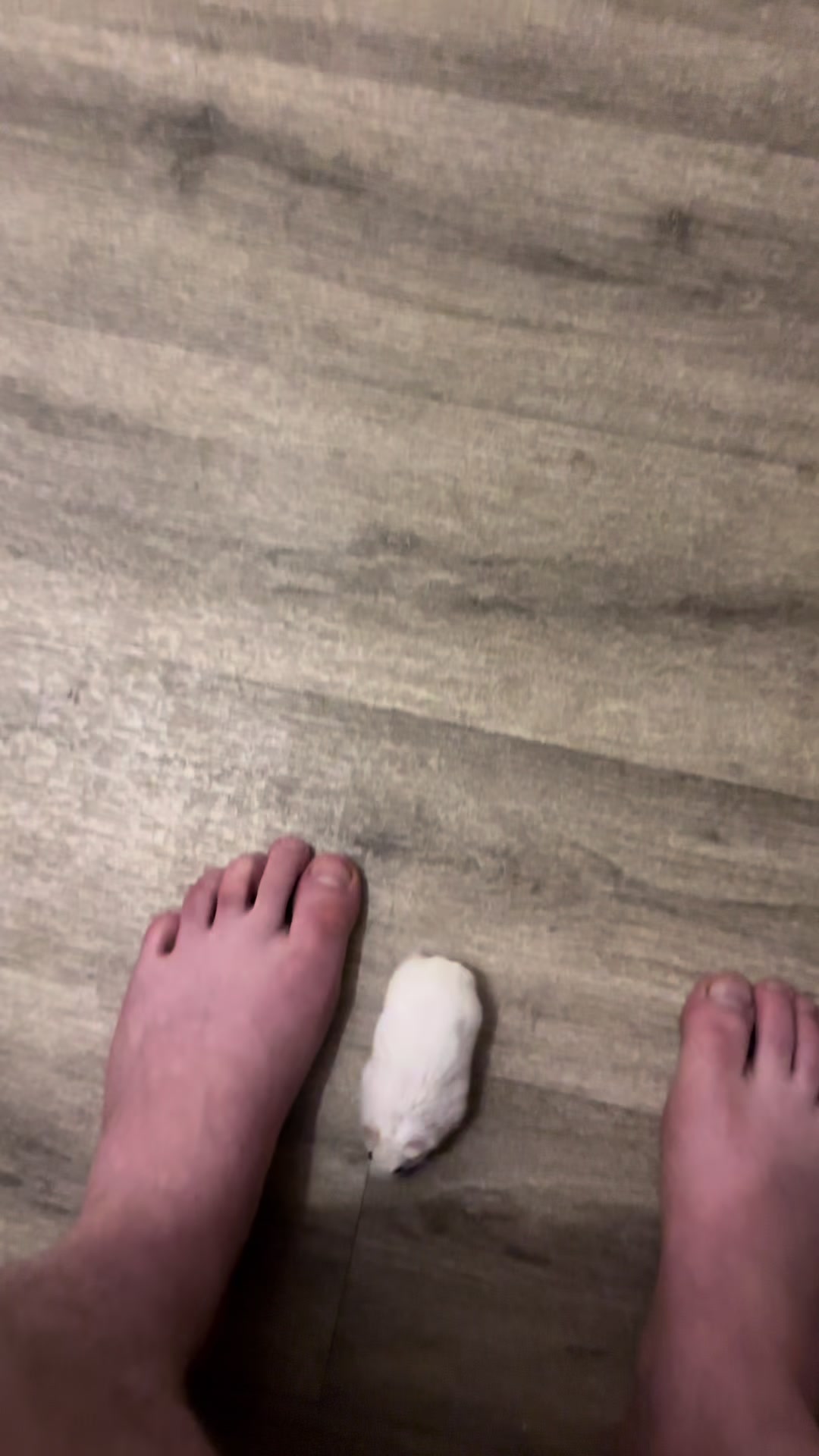 @KUZMENKO