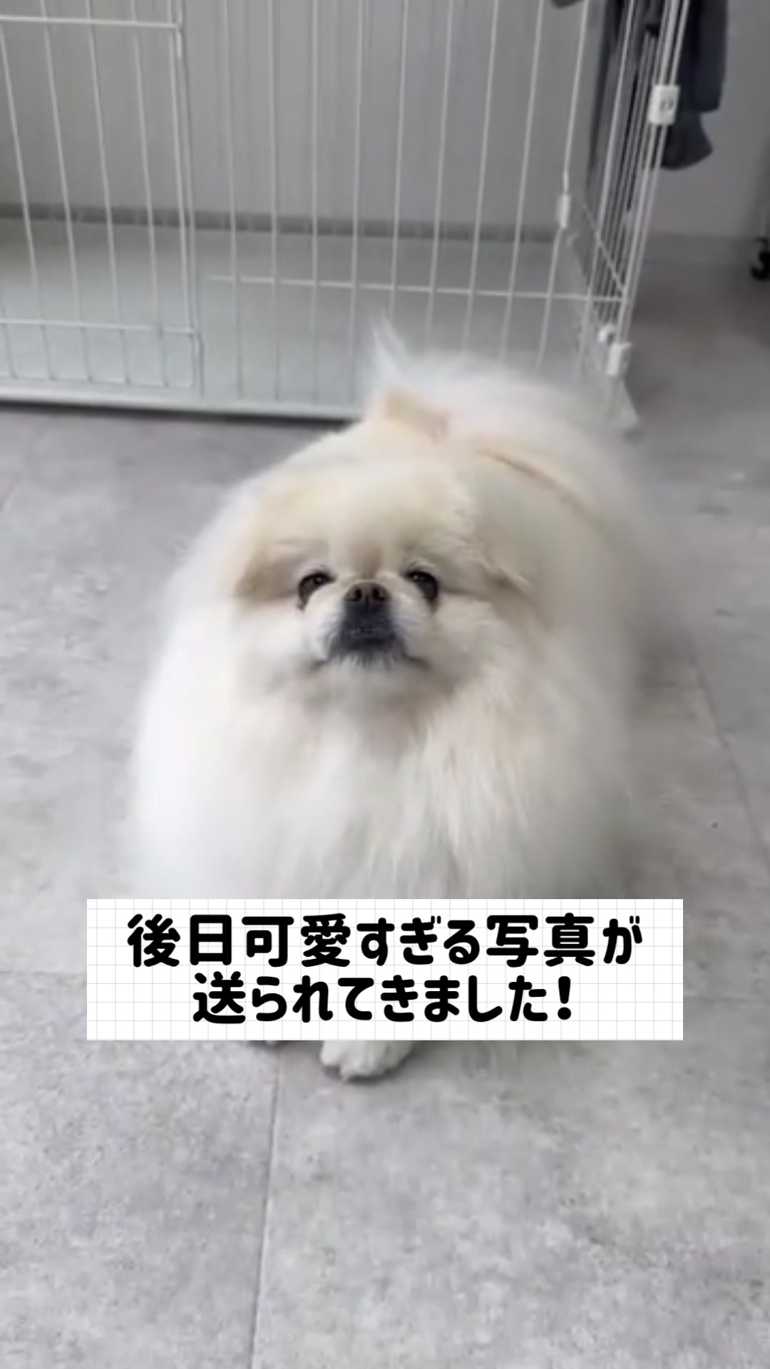 @なんこつ