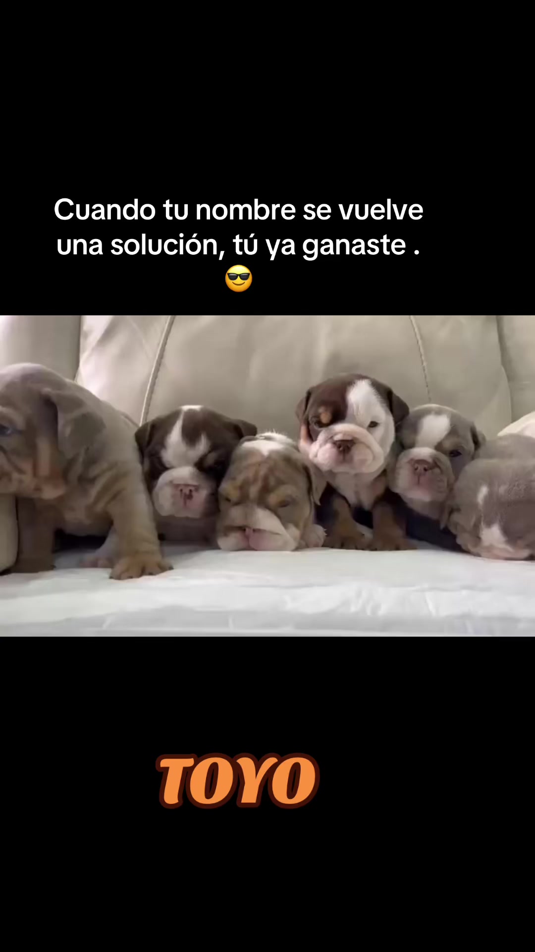 @Destroyers Bulldogs