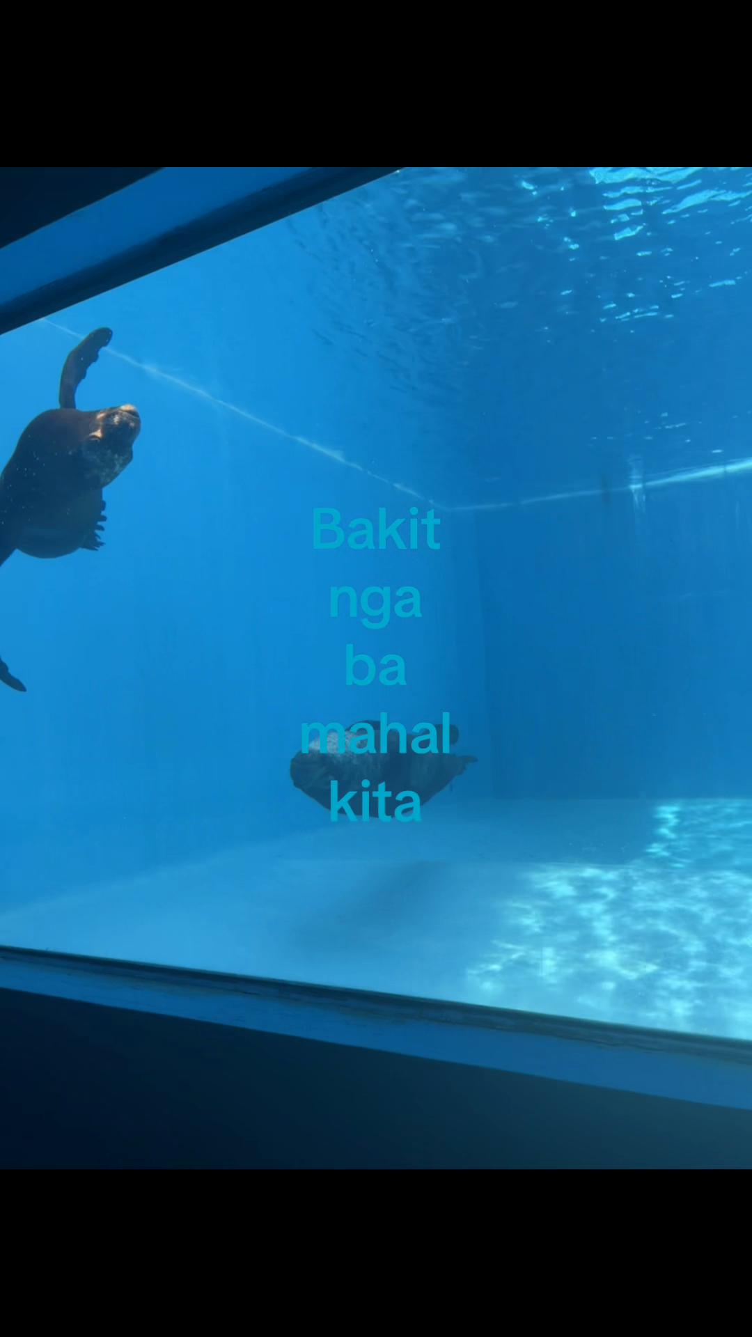 @iamnotreal740