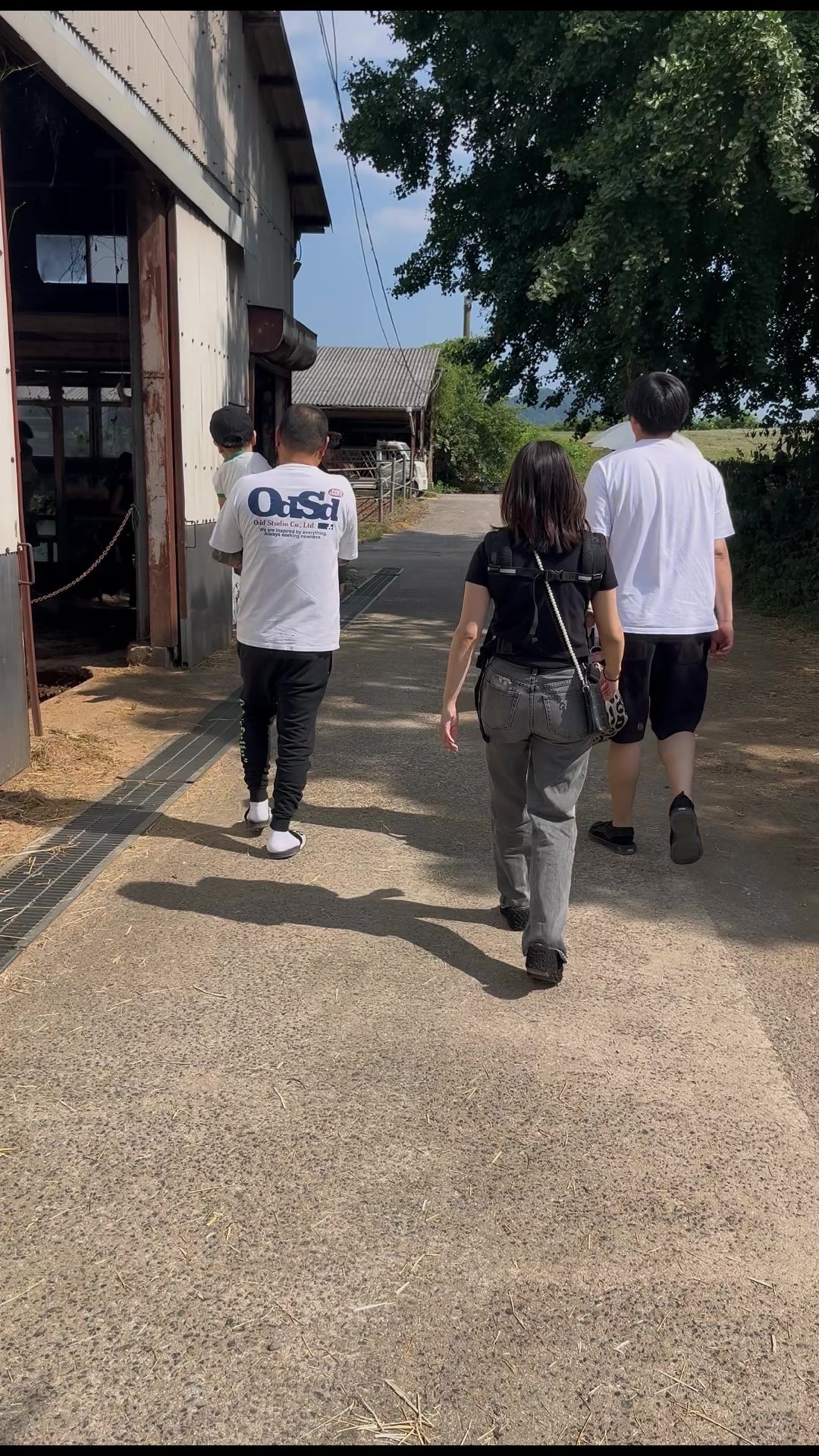 @B君