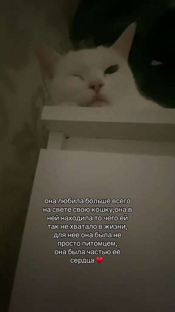 @светкис💋