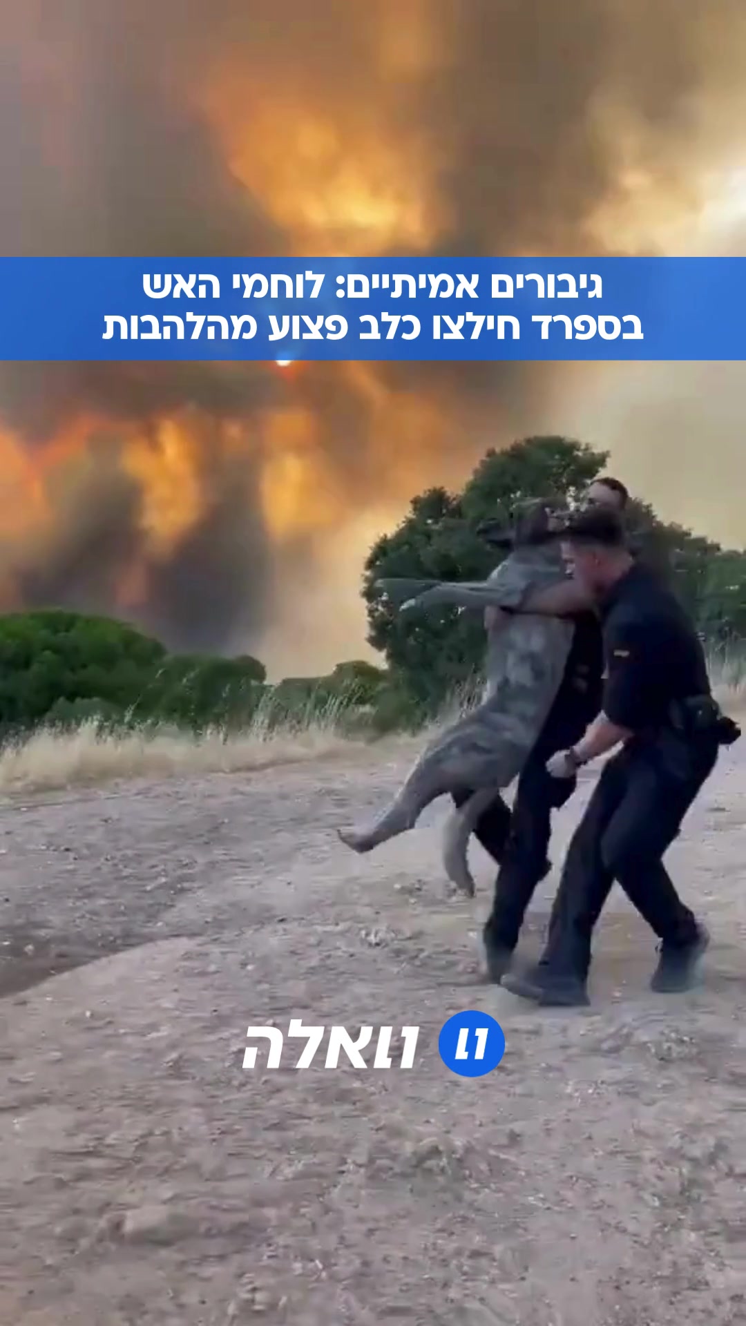 @וואלה