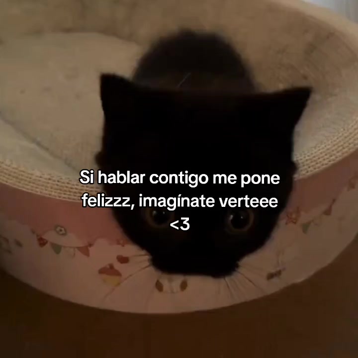 @goodvibessxd
