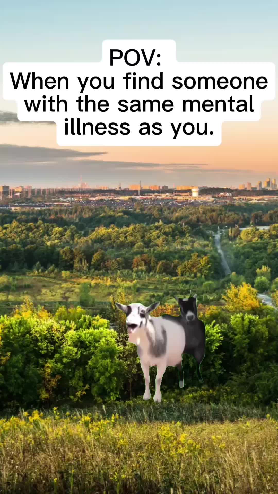 @meme