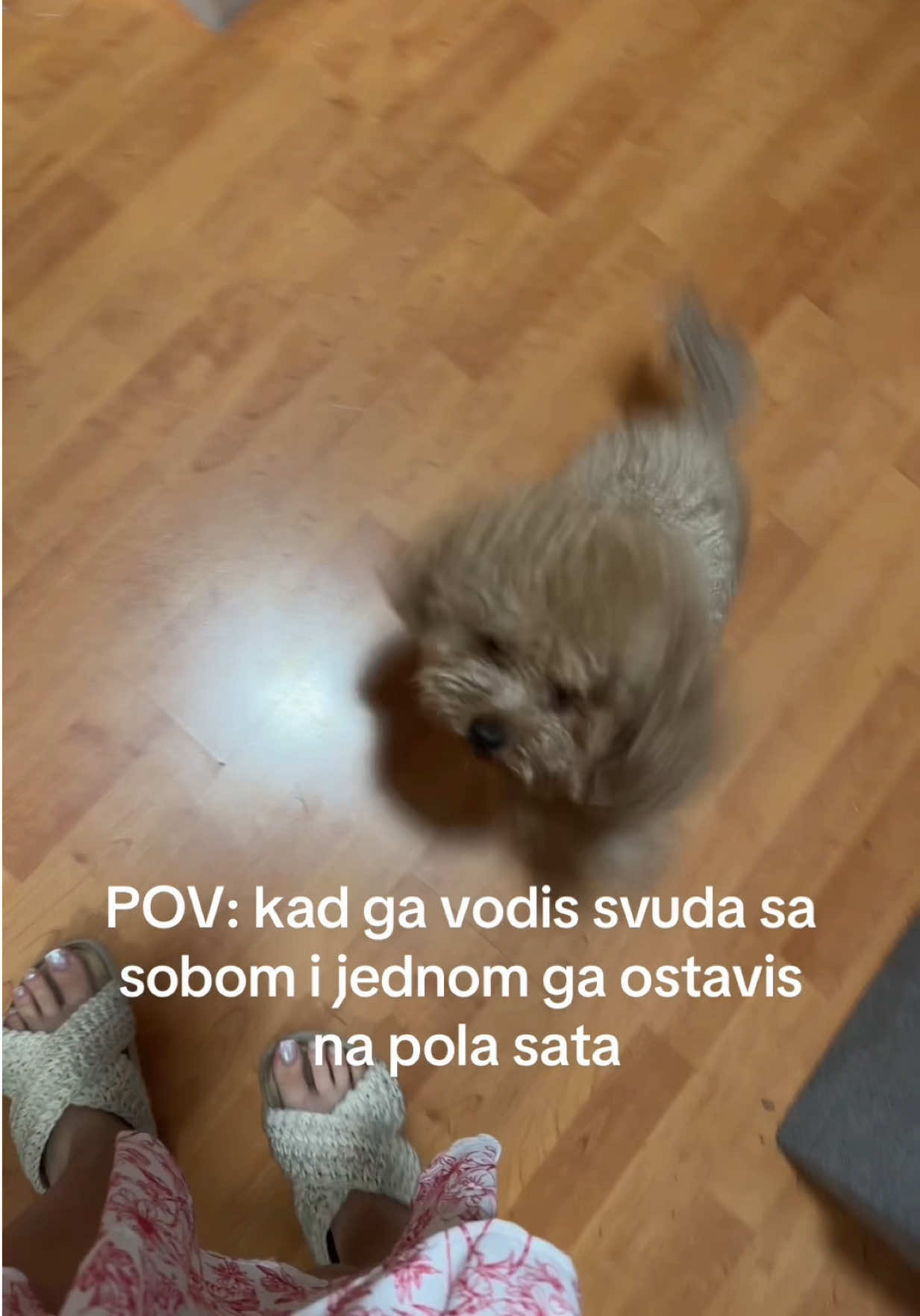 @Brkic Nadja