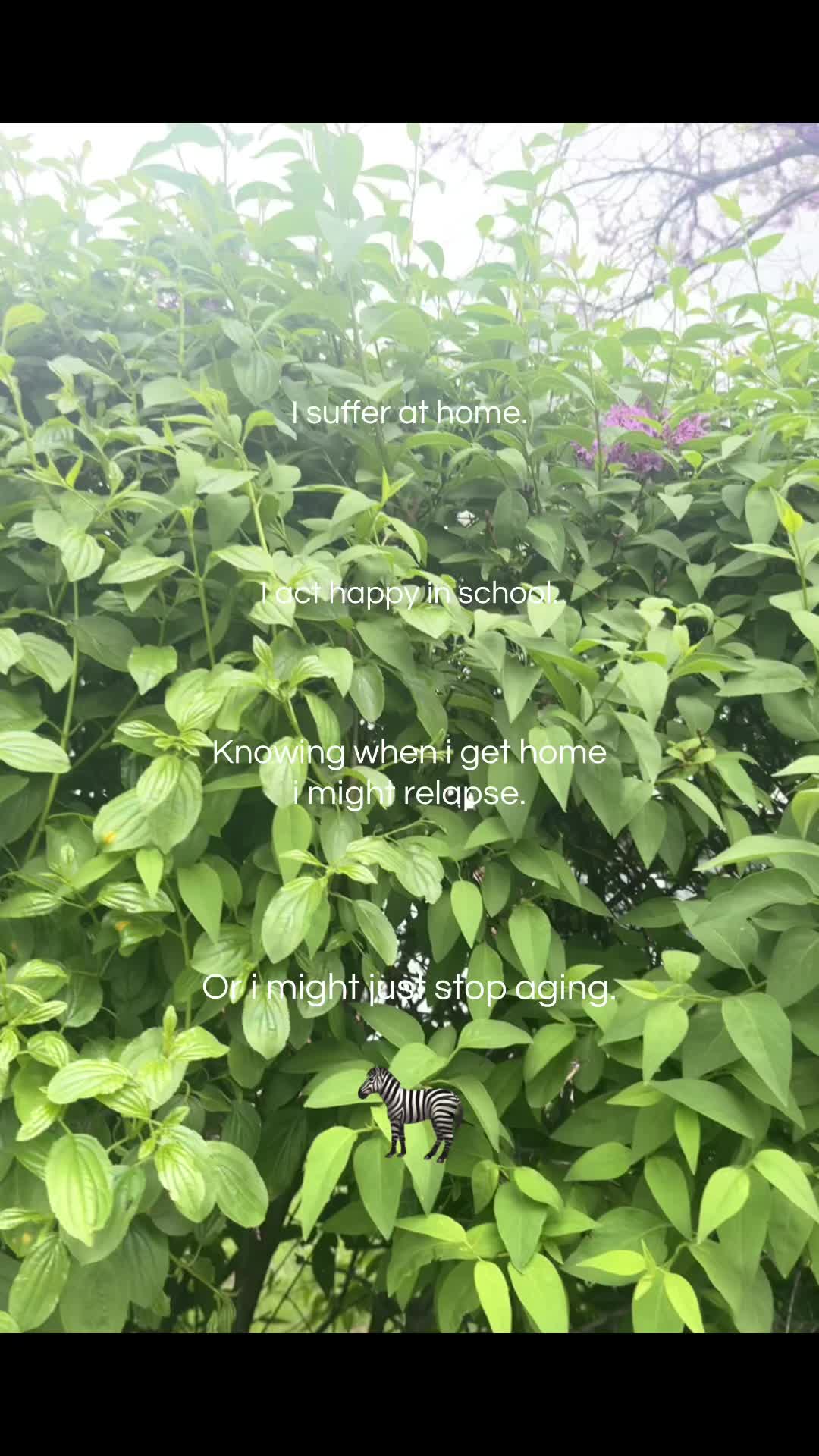 @.