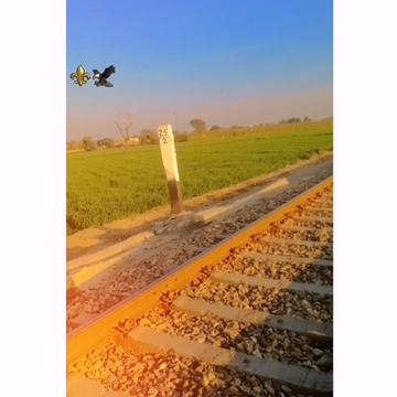 @Malik Shahzad ✈️