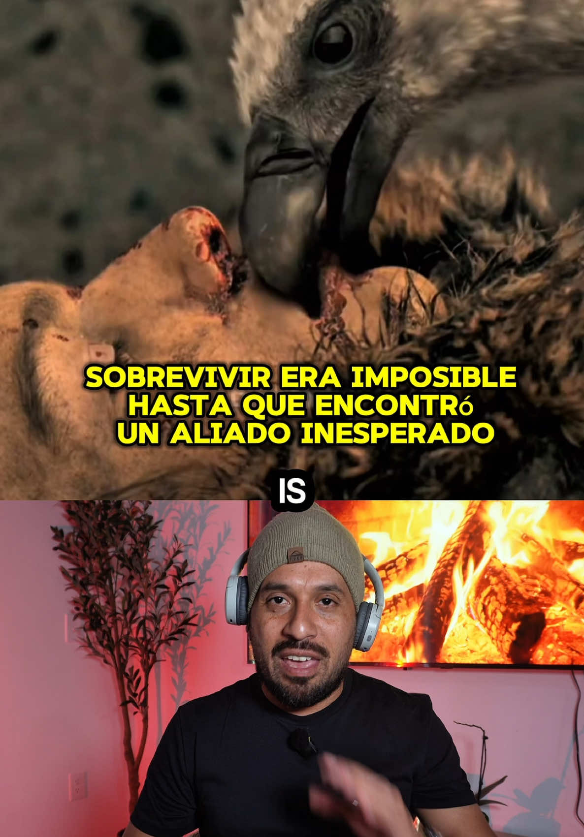 @SoyValeroTips