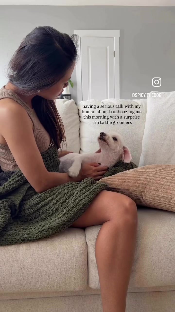 @Spicy The Dog