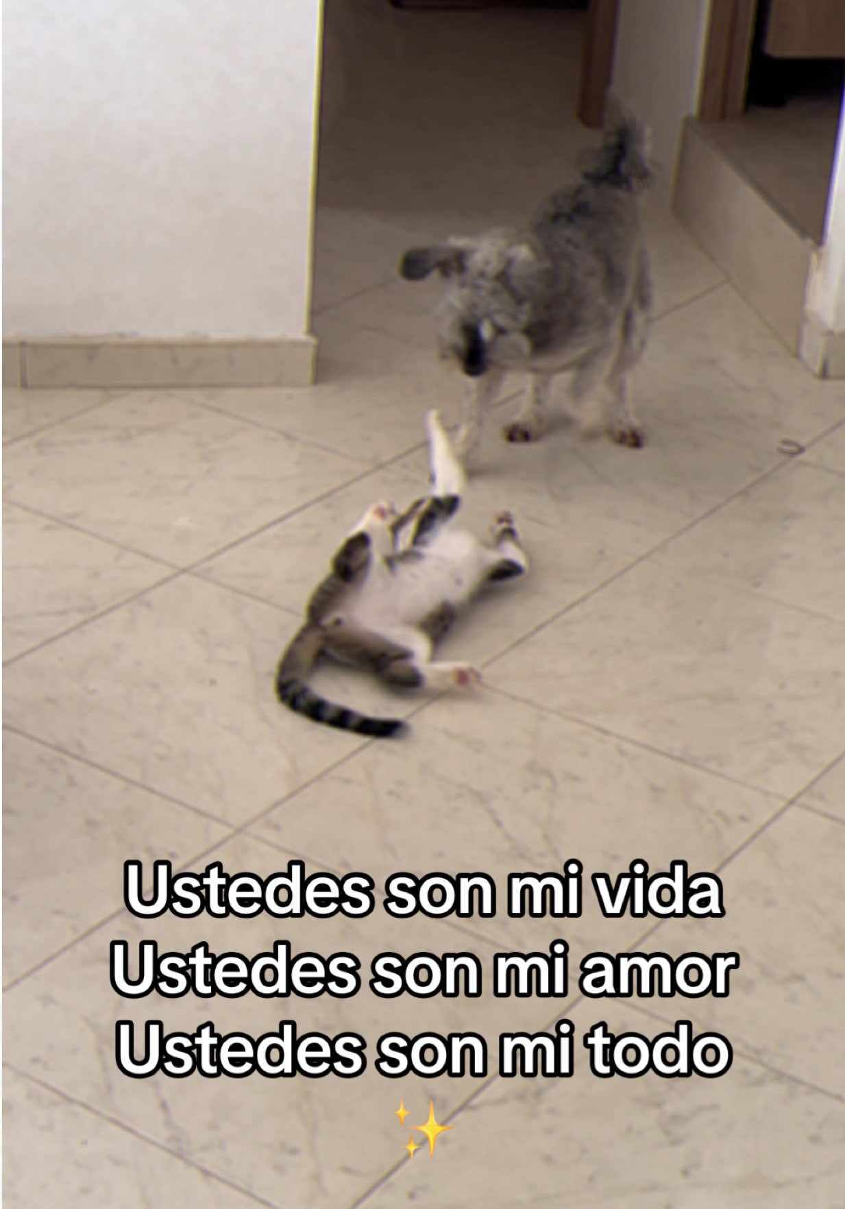 @Camila Zea