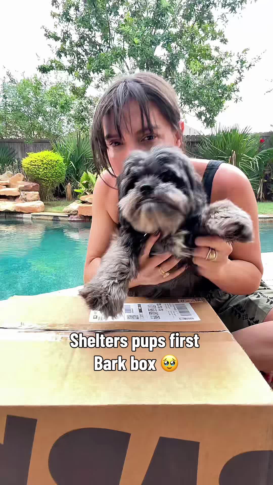 @mjvanicek