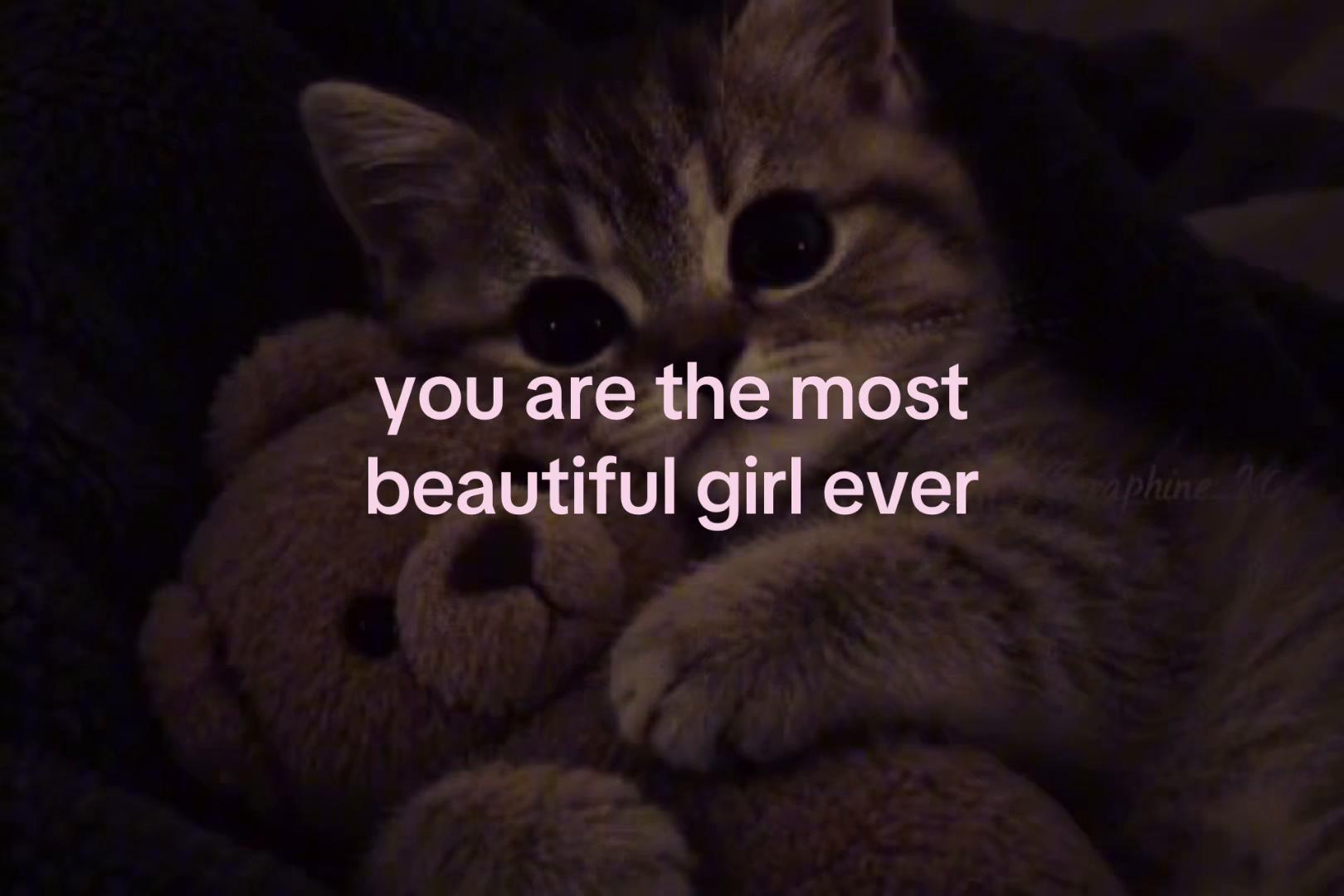 @sxalenz