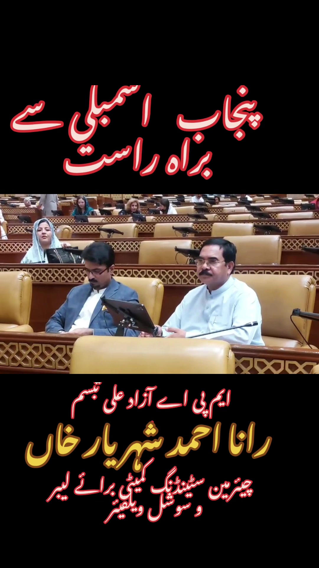 @azadalitabassum1