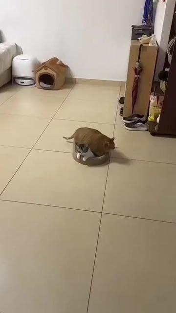 @@ไข่ตุ๋น