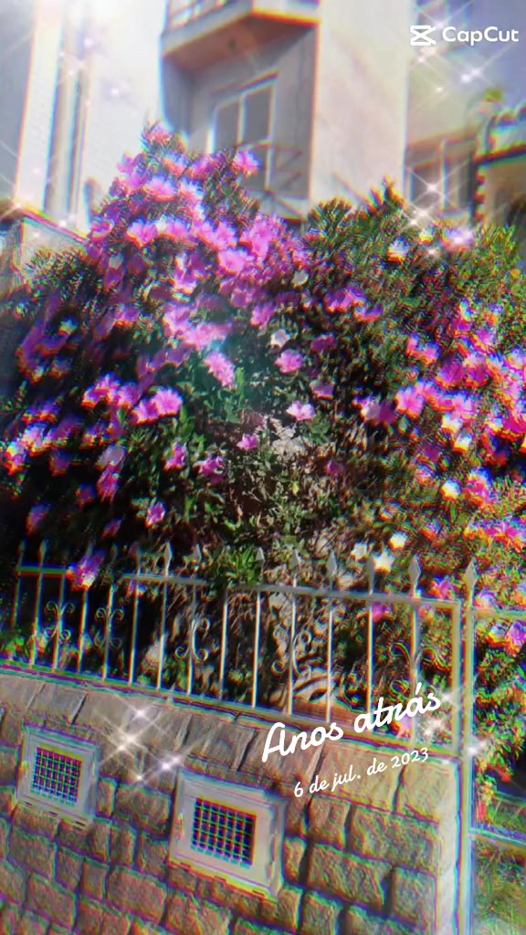 @fatimanascimentoo1