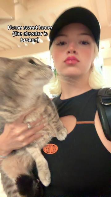 @mentalflashbang
