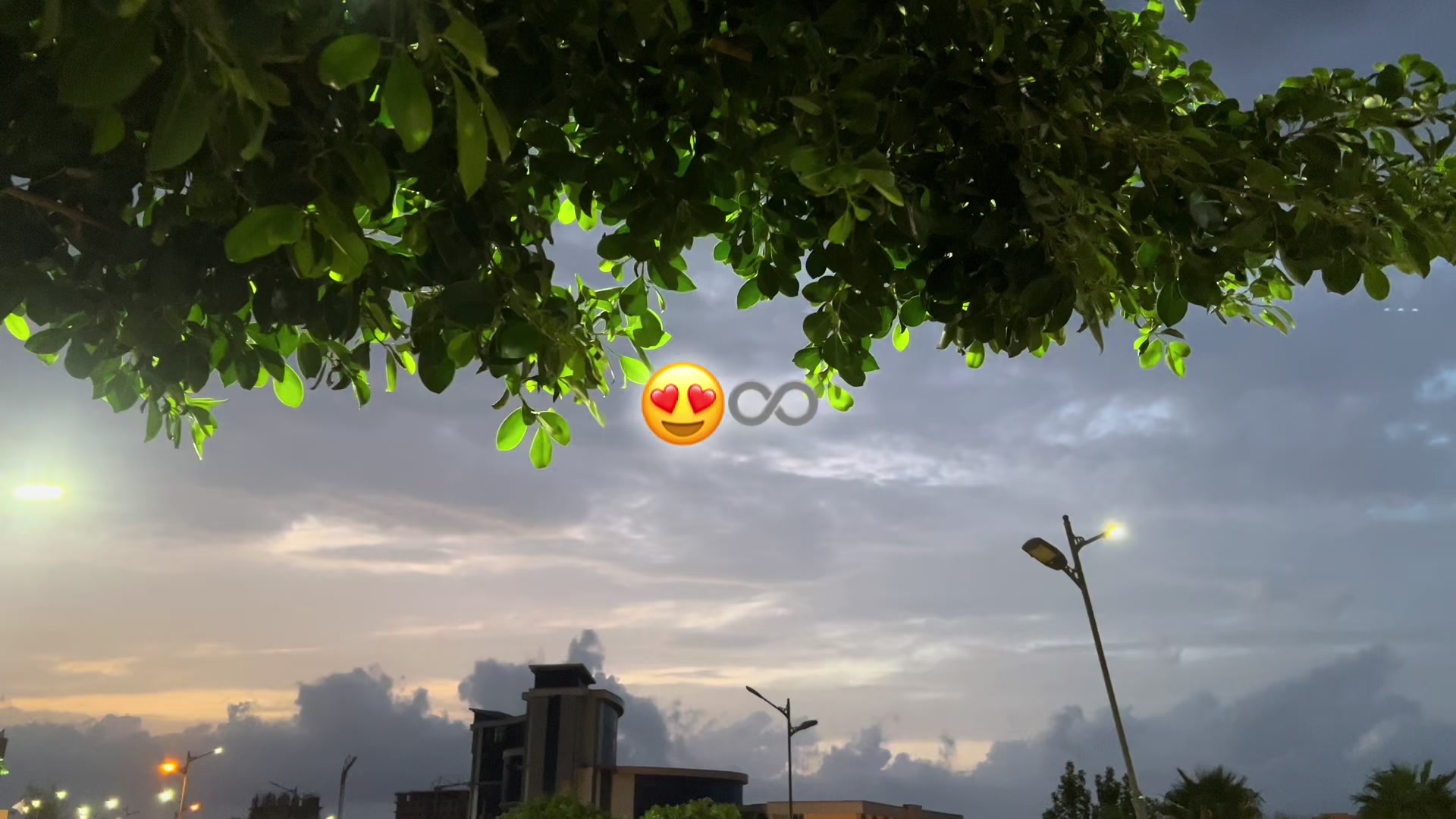 @🍃