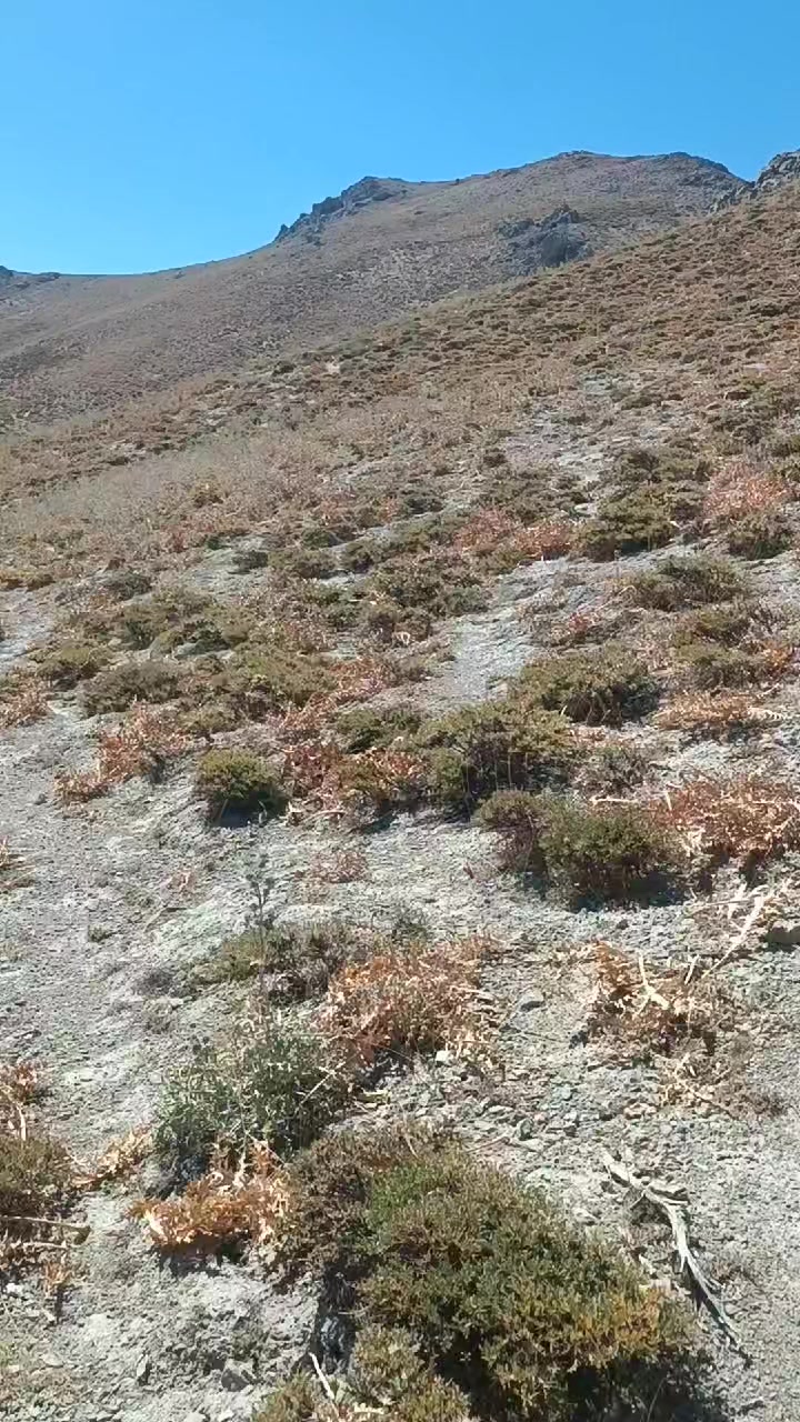 @DAĞCI.46