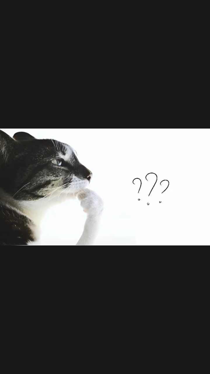 @ww ᥫ᭡