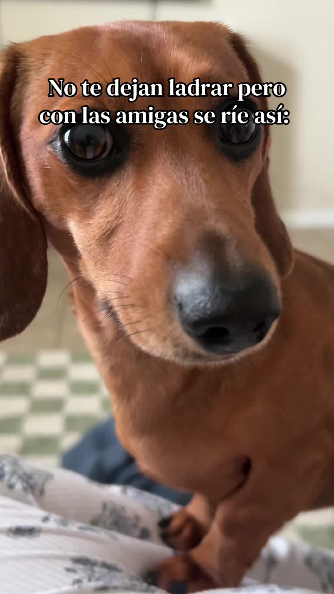 @Slinky Severus-Doo