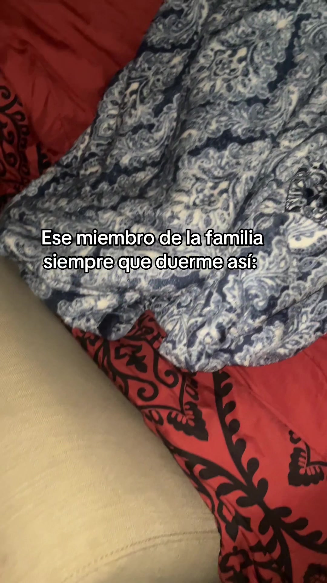 @Nelly Beltran
