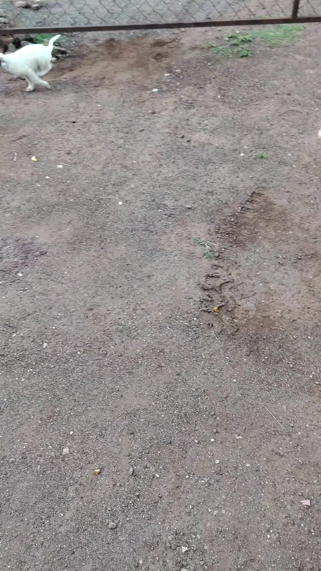 @🥷🏽 GUERRERO🇲🇽
