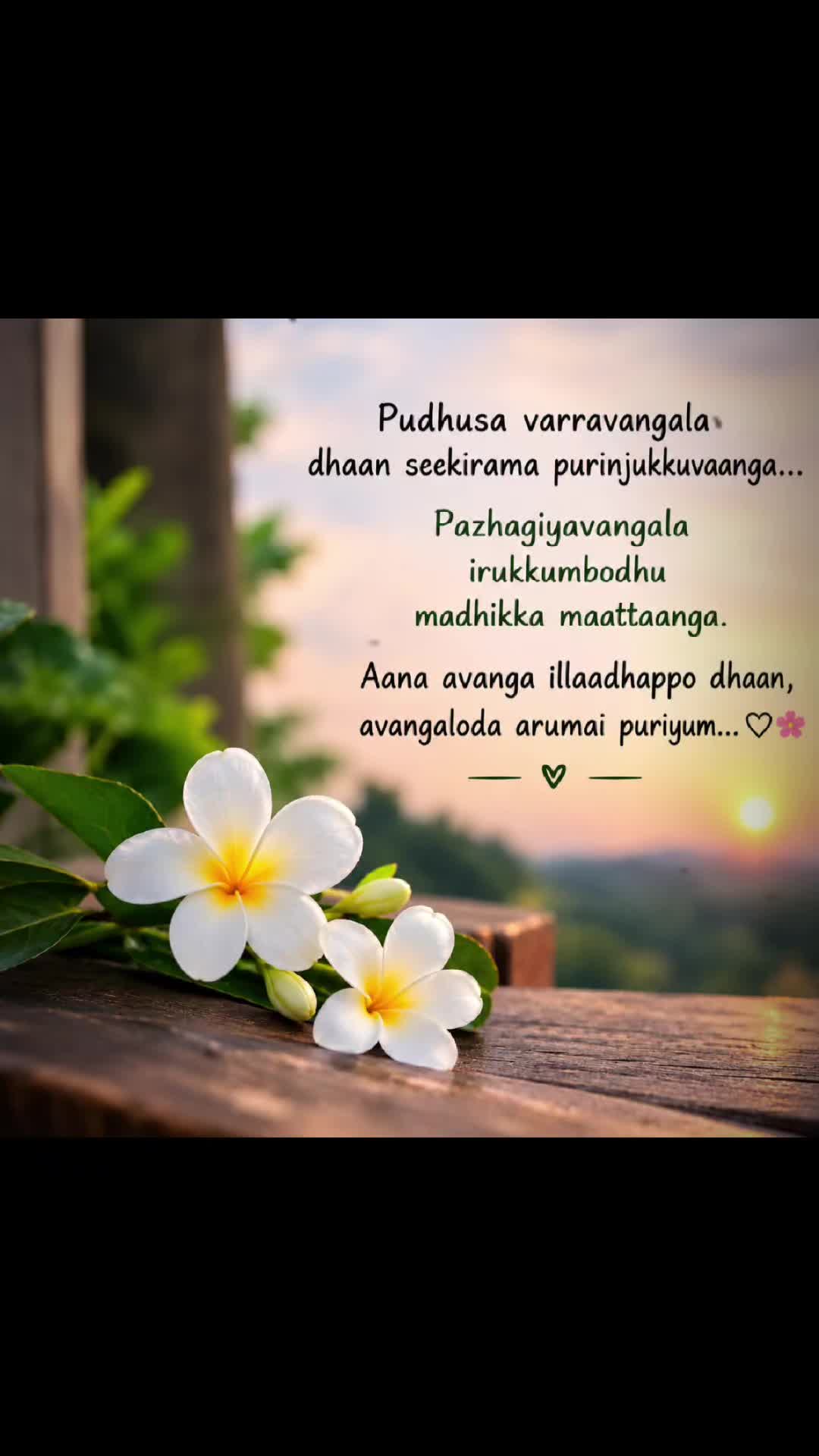 @🐻🌹V🌻💛SHA🤍🌻T🌹🐼