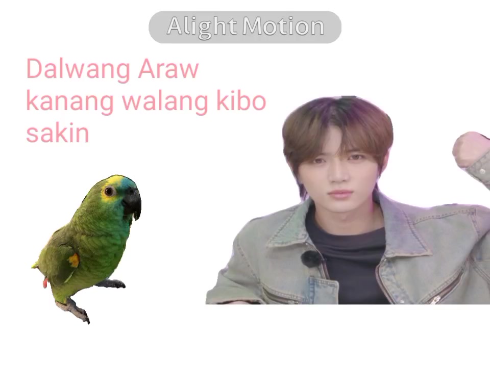 @Gyuum౨ৎ || NOT SEEING TXT 💔