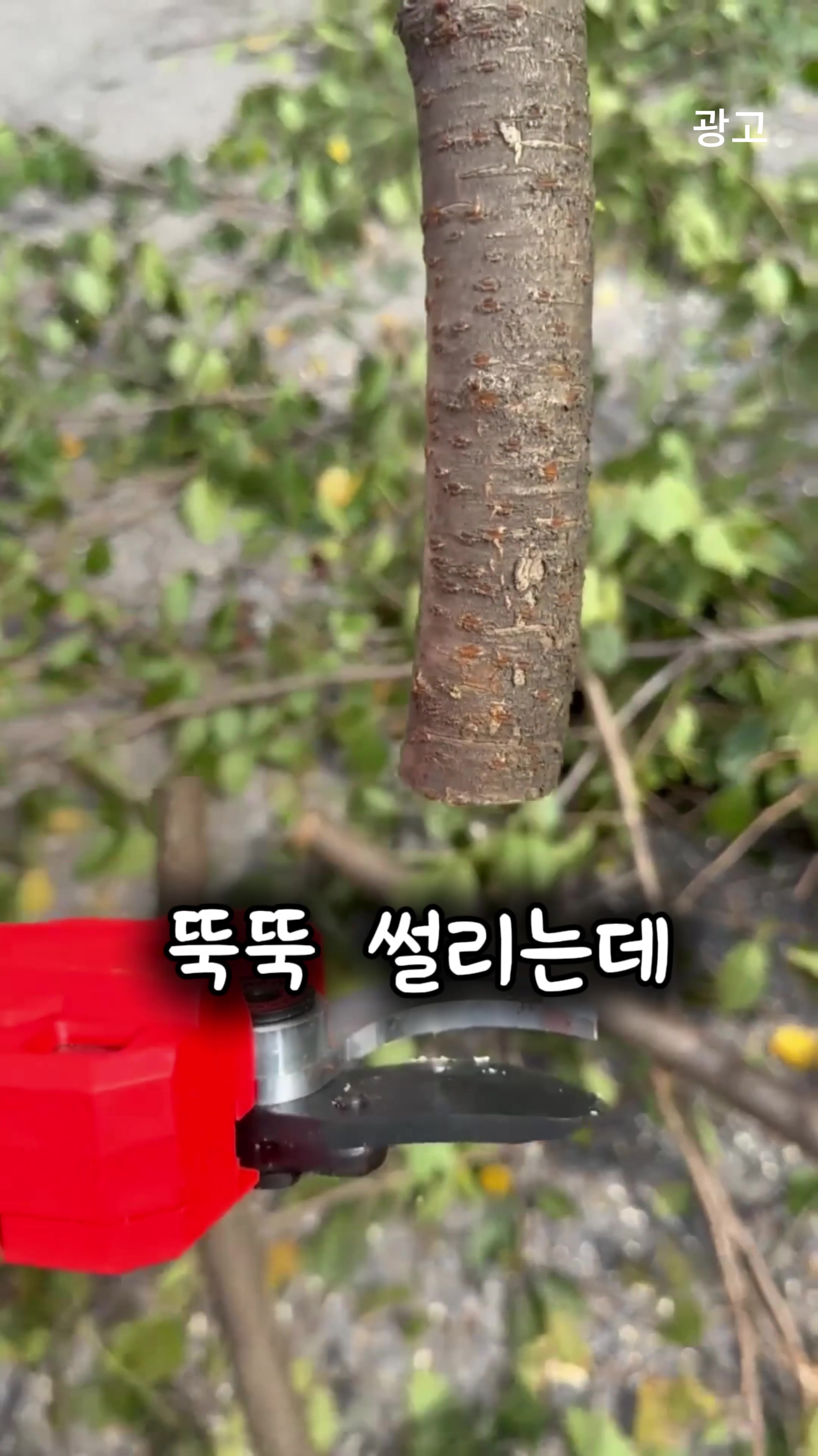 @부러쇼핑
