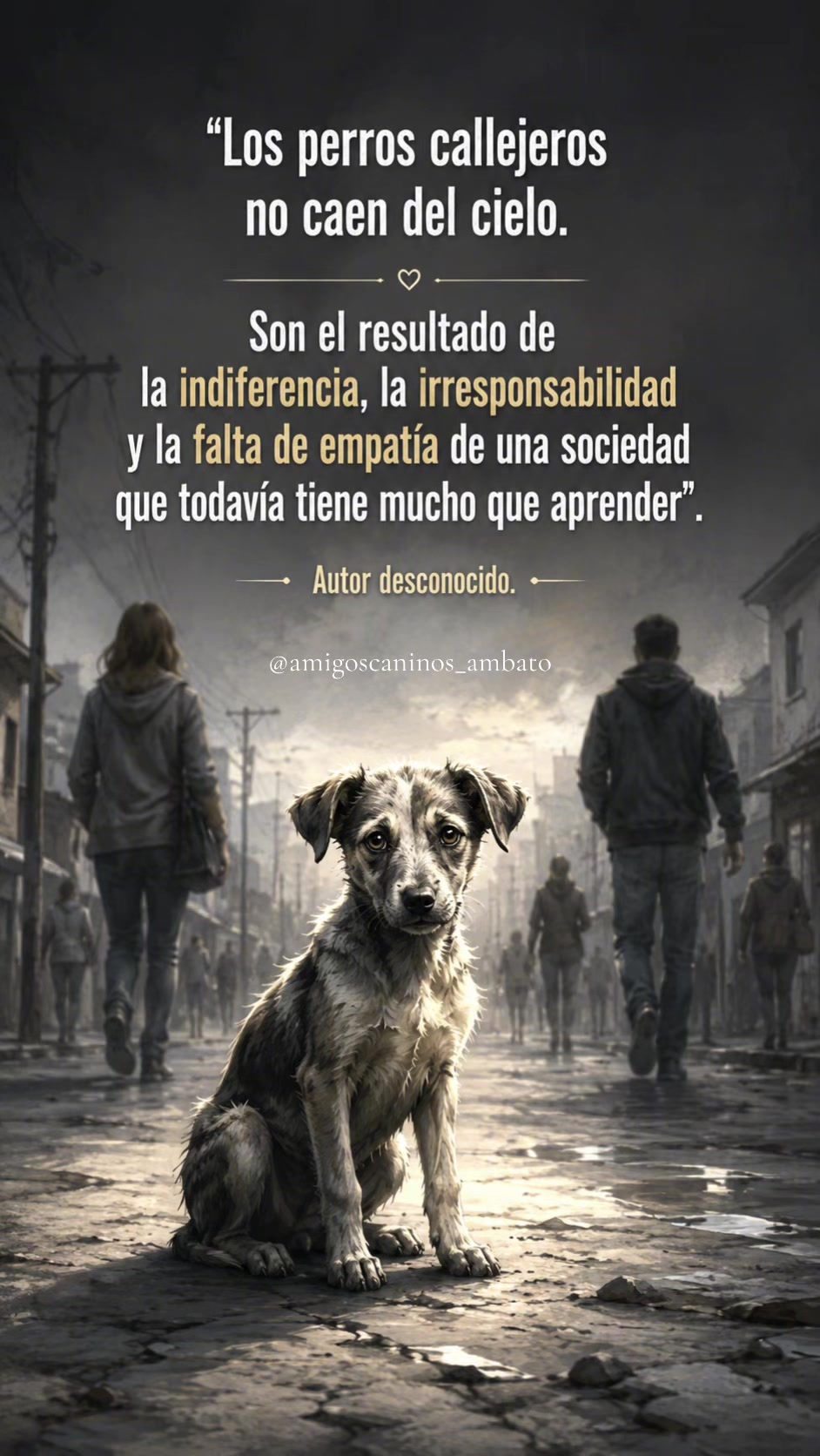 @Amigoscaninos_Ambato