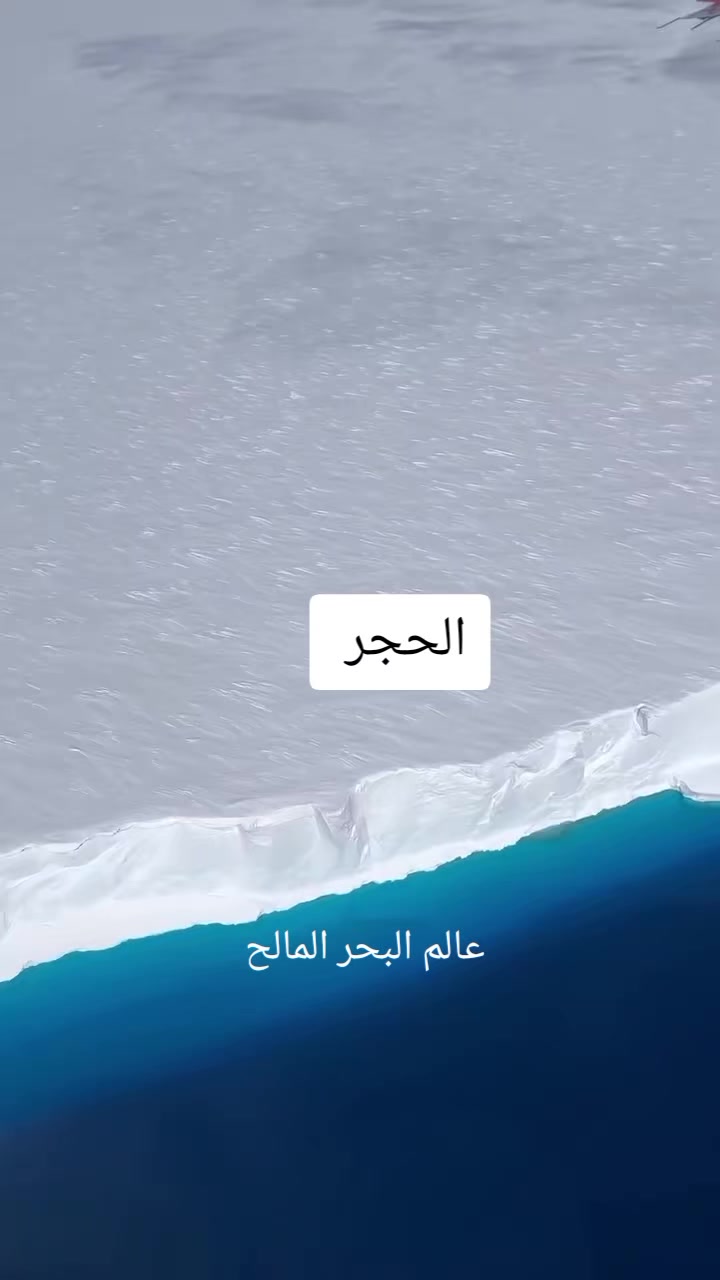 @Wassim