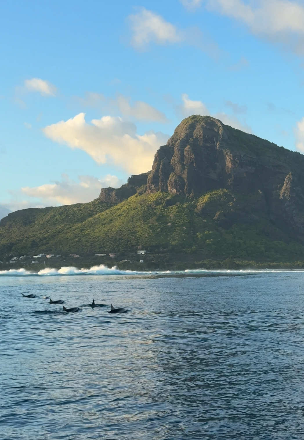@Ana&iuml;s &agrave; l&rsquo;&Icirc;le Maurice 🧚&zwj;♀️