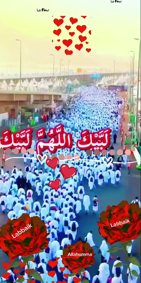 @786ami786