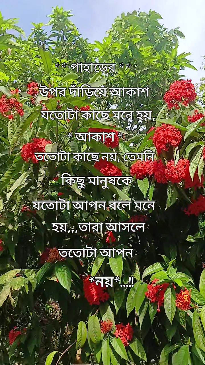 @❤️❤️Munjur+Sumi❤️❤️