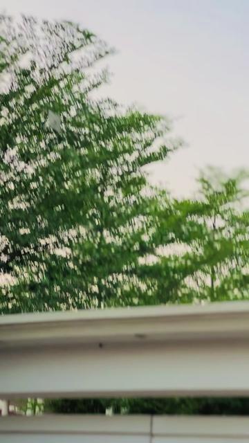 @zainbadami12🥰