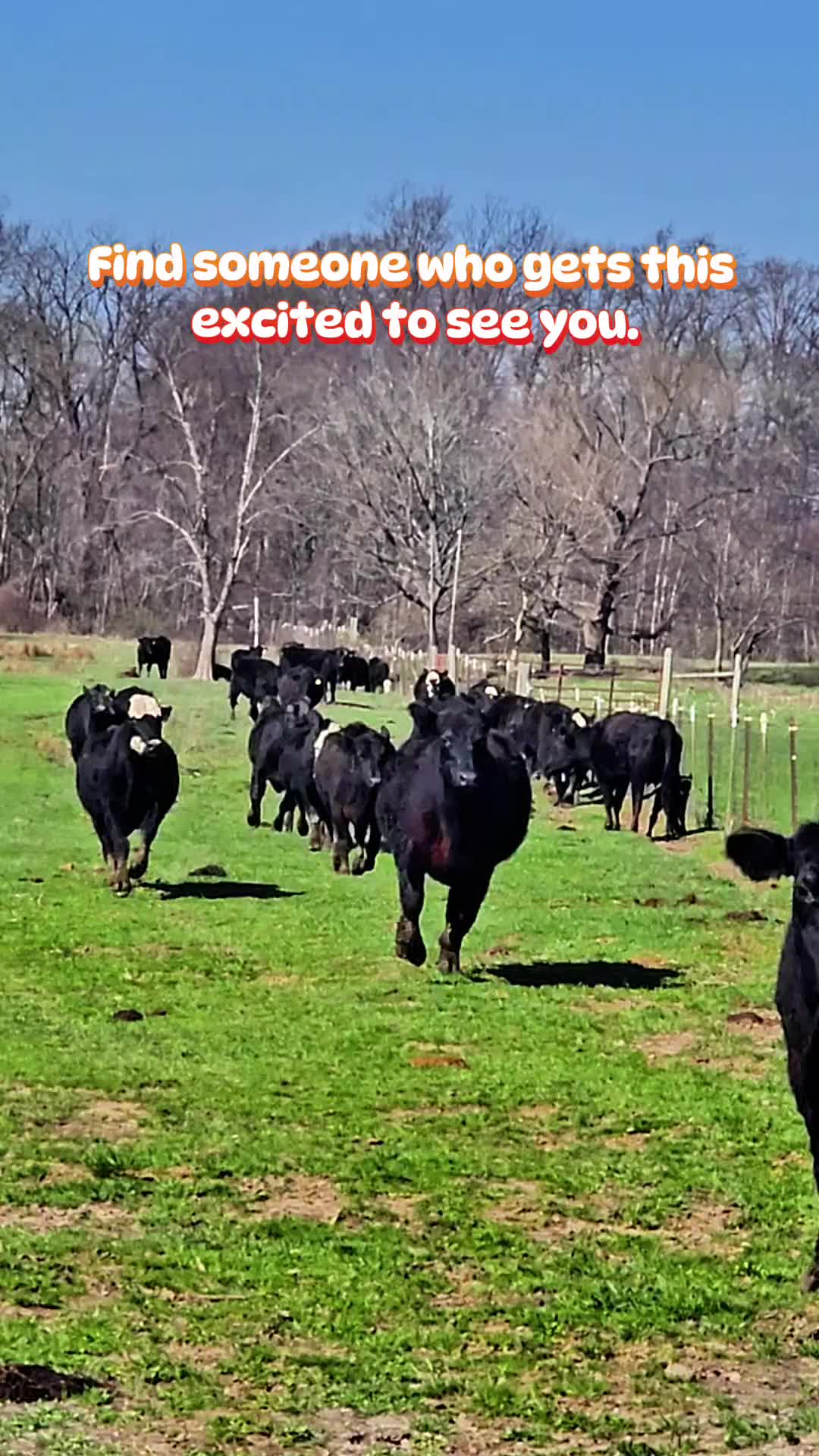 @FarmFun33