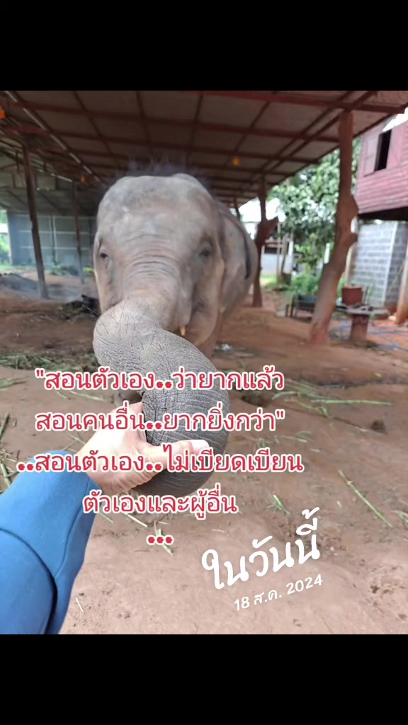 @เศรษฐีเหนือดวง