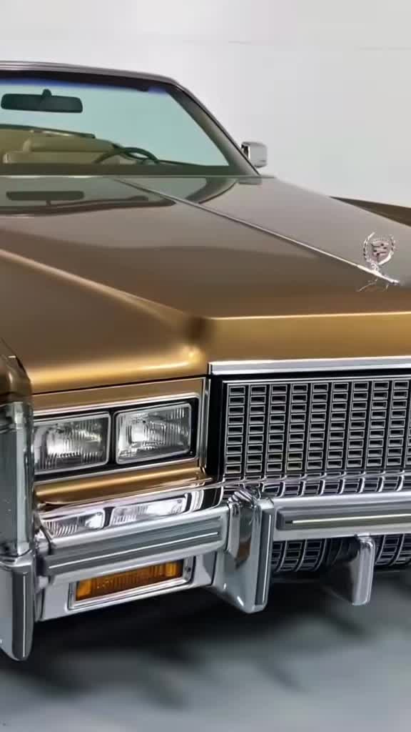 @𝙈𝙊𝙏𝙊𝙍𝙎 𝙈𝘼𝙉𝙄𝘼