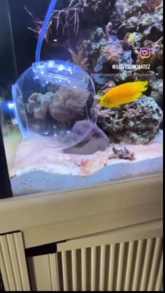 @Tankmatez.com USA